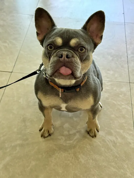 Pets 'N' Vets Animal Hospital Picture 3
