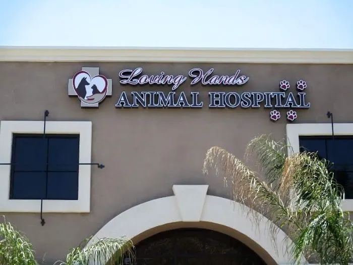 Loving Hands Animal Hospital, Inc Picture 3