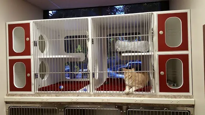 Loving Hands Animal Hospital, Inc Picture 4