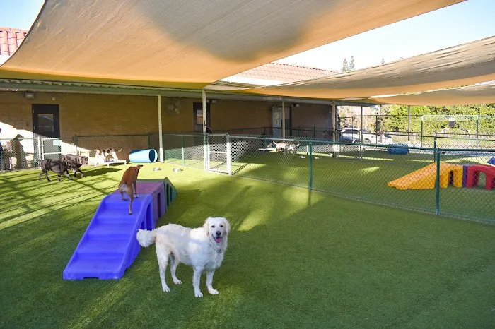 Chino Hills Animal Hospital & Pet Resort Picture 3