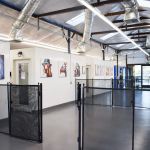 Chino Hills Animal Hospital & Pet Resort