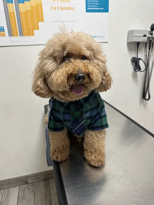 Chino Hills Animal Hospital & Pet Resort Picture 10