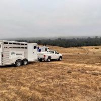 Steinbeck Peninsula Equine Clinics ico