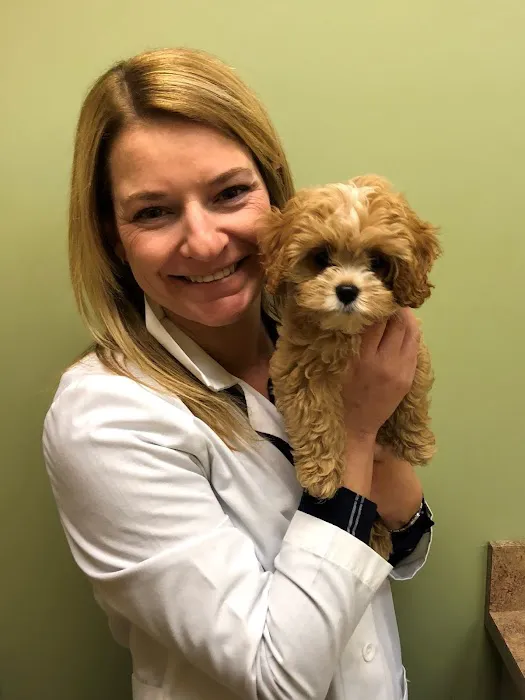 Village Square Portola Valley Veterinary Hospital Picture 1