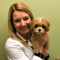 Village Square Portola Valley Veterinary Hospital ico