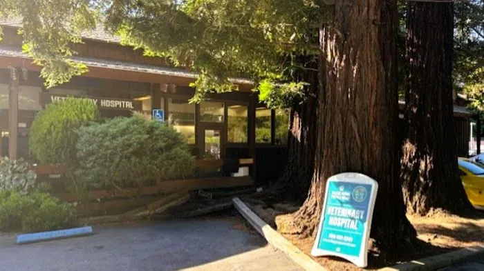Village Square Portola Valley Veterinary Hospital Picture 2