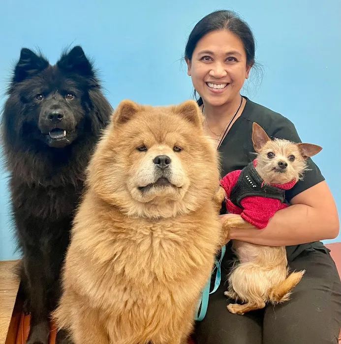 Village Square Portola Valley Veterinary Hospital Picture 6