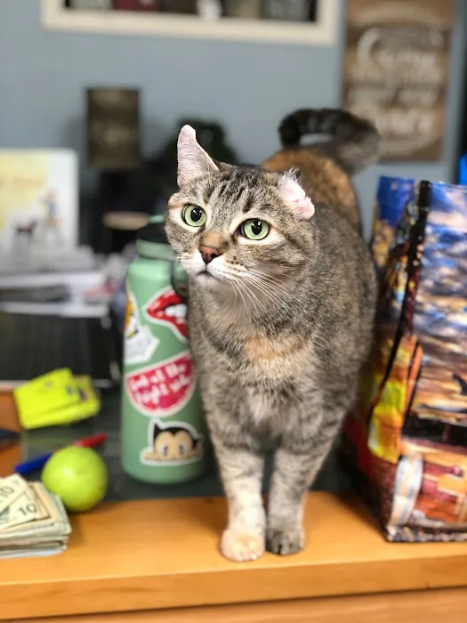 Cheap Shots, Second to None Pet Services - Veterinarian & Animal Hospital Picture 9