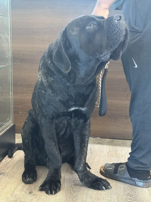 Doolittle Pet Hospital Picture 1