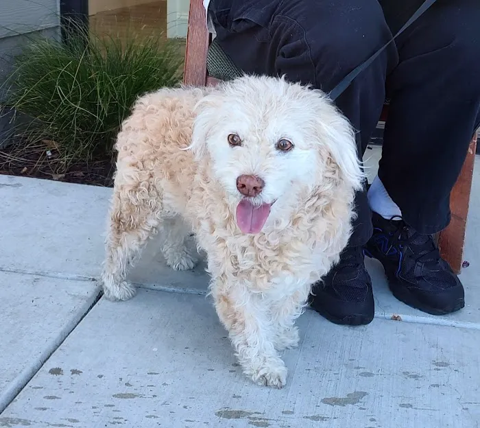 Doolittle Pet Hospital Picture 4