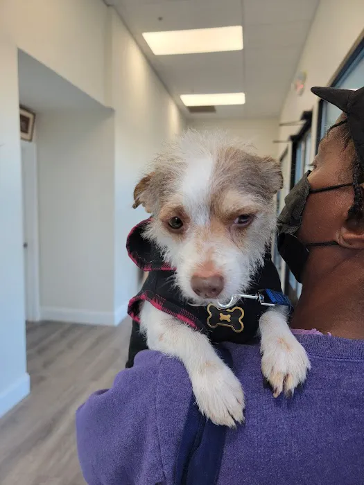 Doolittle Pet Hospital Picture 7