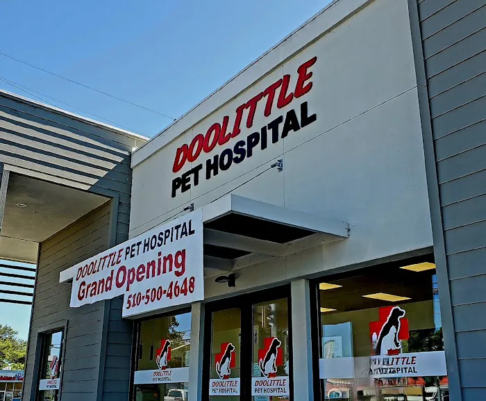 Doolittle Pet Hospital Picture 5