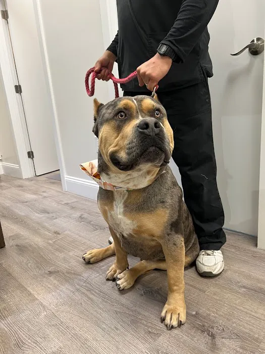 Doolittle Pet Hospital Picture 9