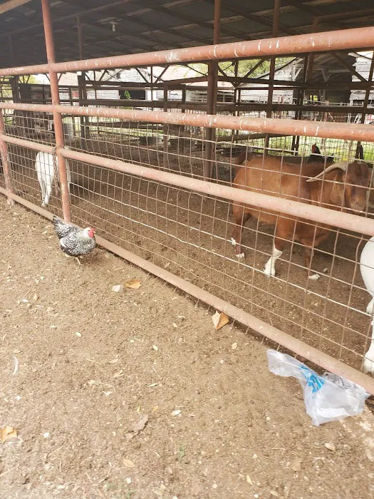 Austin Avenue Animal Hospital Picture 10