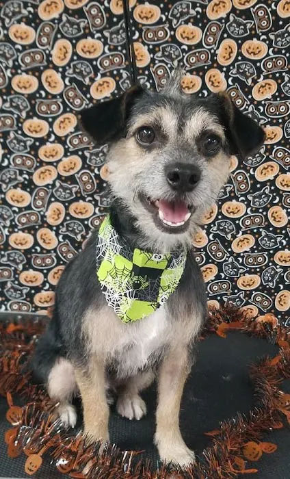 Dr. Tarleton Vet Picture 7