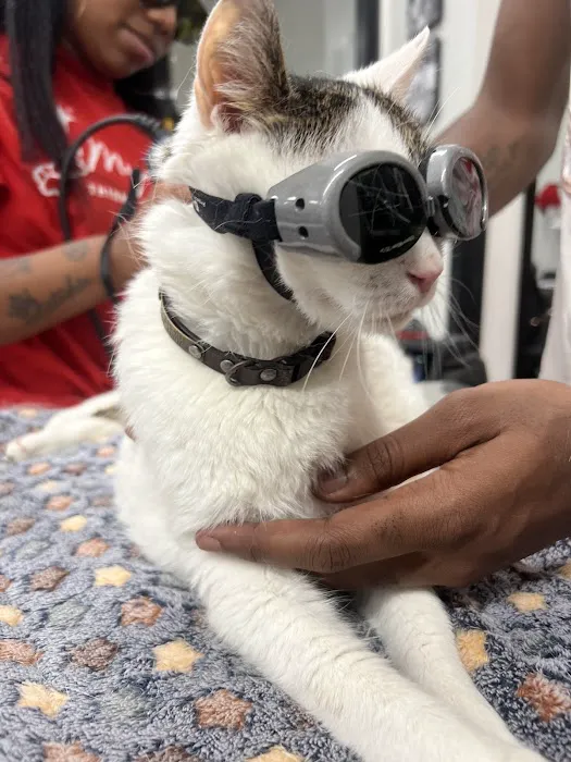 PetSmart Veterinary Services - Georgetown Picture 1