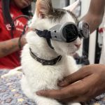 PetSmart Veterinary Services - Georgetown