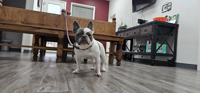 Woof Animal Hospital Picture 10