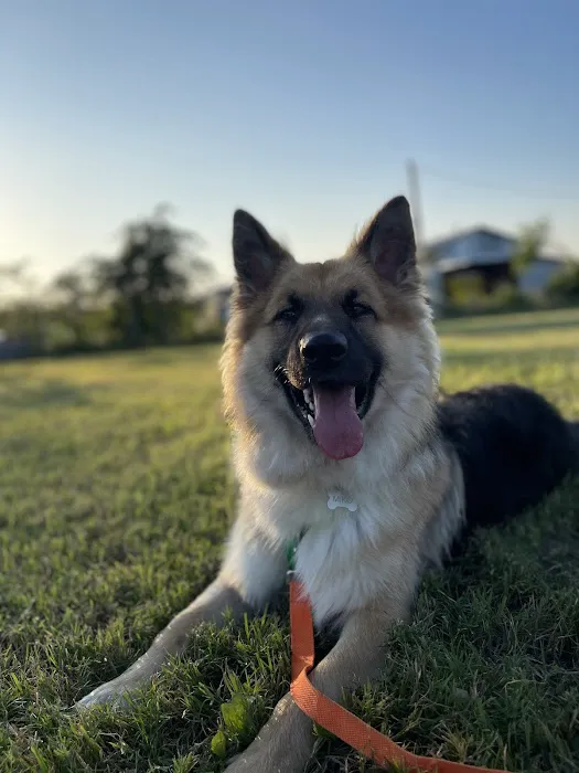 NewDay Veterinary Care Picture 6