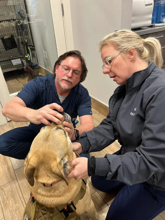 NewDay Veterinary Care Picture 10
