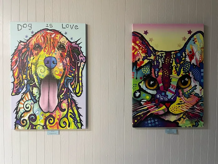 Northwest Pet Hospital Picture 3
