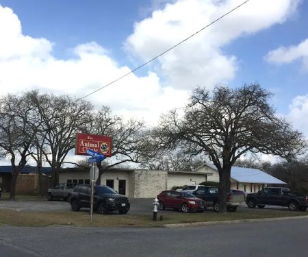 Koy Animal Clinic