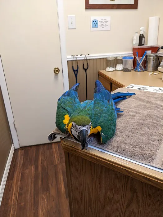 Twin Lakes Pet & Bird Clinic Picture 1
