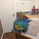 Twin Lakes Pet & Bird Clinic