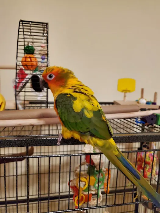 Twin Lakes Pet & Bird Clinic Picture 3
