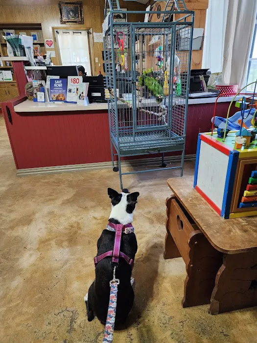 Twin Lakes Pet & Bird Clinic Picture 10