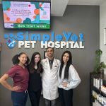 SimpleVet Pet Hospital