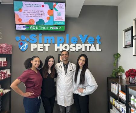 SimpleVet Pet Hospital