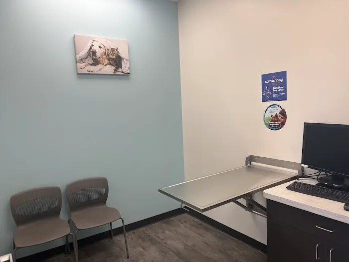 SimpleVet Pet Hospital Picture 3