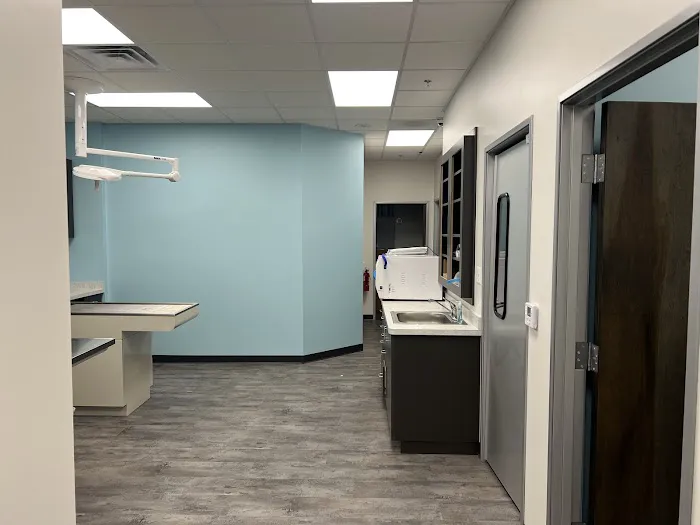 SimpleVet Pet Hospital Picture 6