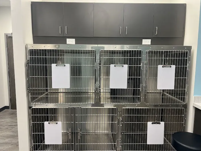SimpleVet Pet Hospital Picture 10