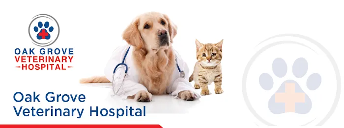 Oak Grove Veterinary Hospital Picture 1