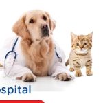 Oak Grove Veterinary Hospital