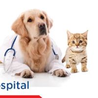 Oak Grove Veterinary Hospital ico