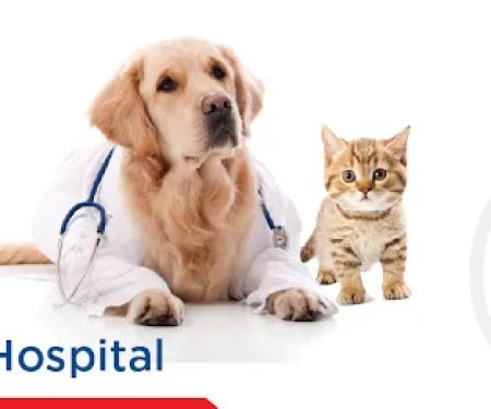 Oak Grove Veterinary Hospital