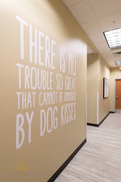 Stonebrook Family Pet Clinic Picture 4