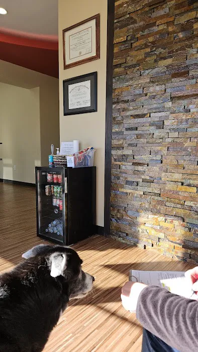 Collin County Veterinary Imaging Center Picture 7