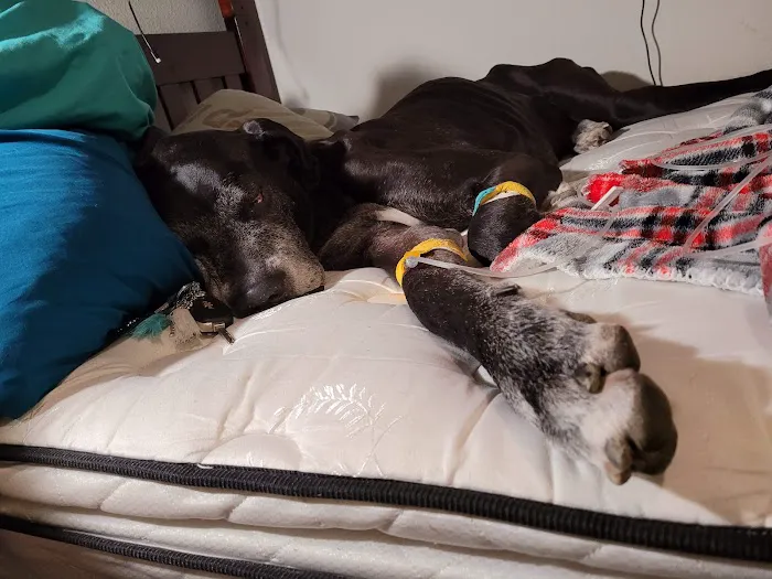 121 Animal Hospital Picture 9