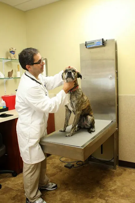 121 Animal Hospital Picture 8