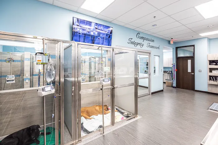 Frisco Emergency Pet Care Picture 3
