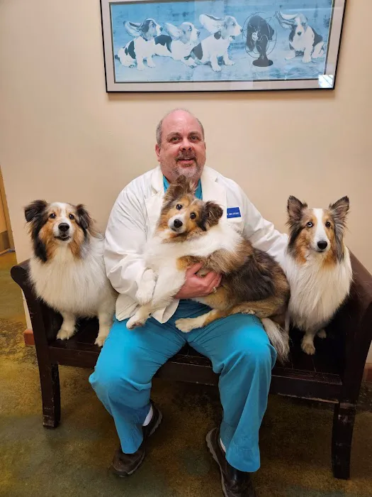 Russell Creek Pet Clinic Picture 3