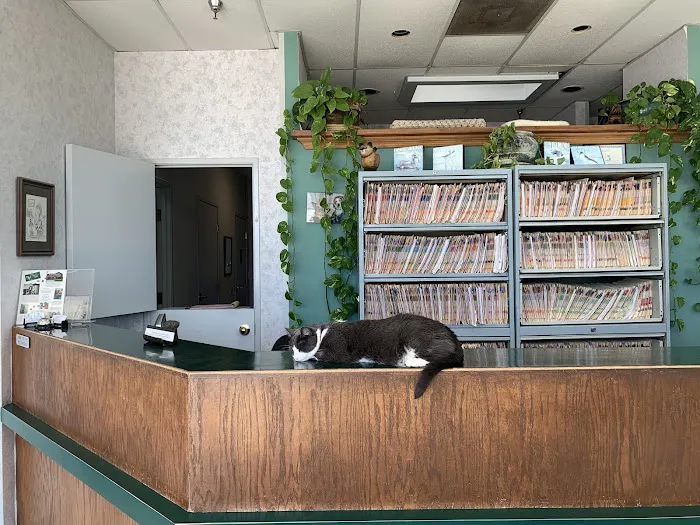 Legacy Village Veterinary Clinic Picture 4