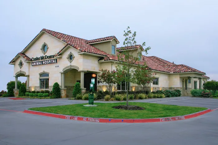 Custer McDermott Animal Hospital Picture 1