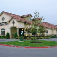 Custer McDermott Animal Hospital ico