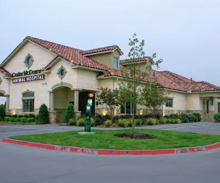 Custer McDermott Animal Hospital
