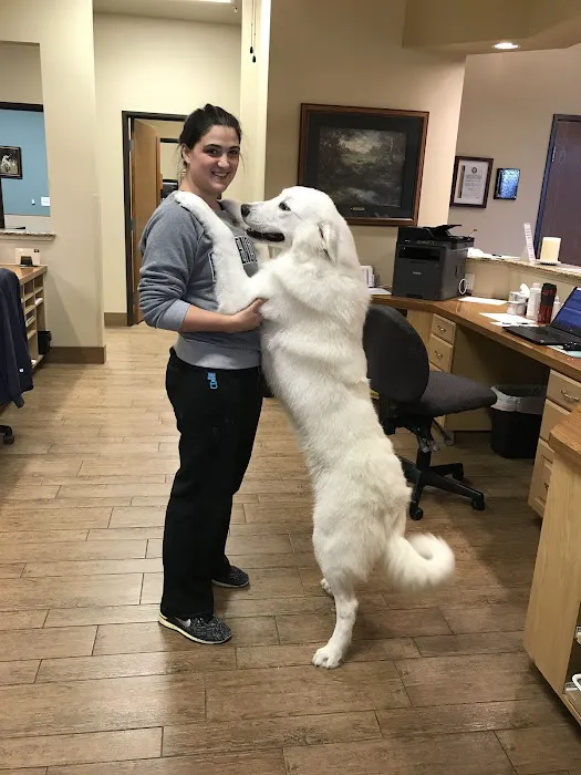 Custer McDermott Animal Hospital Picture 8